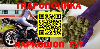 гидра Бузулук