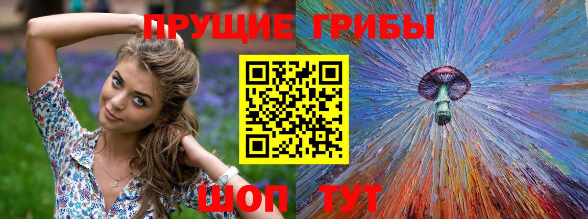 Галлюциногенные грибы прущие грибы Светлоград